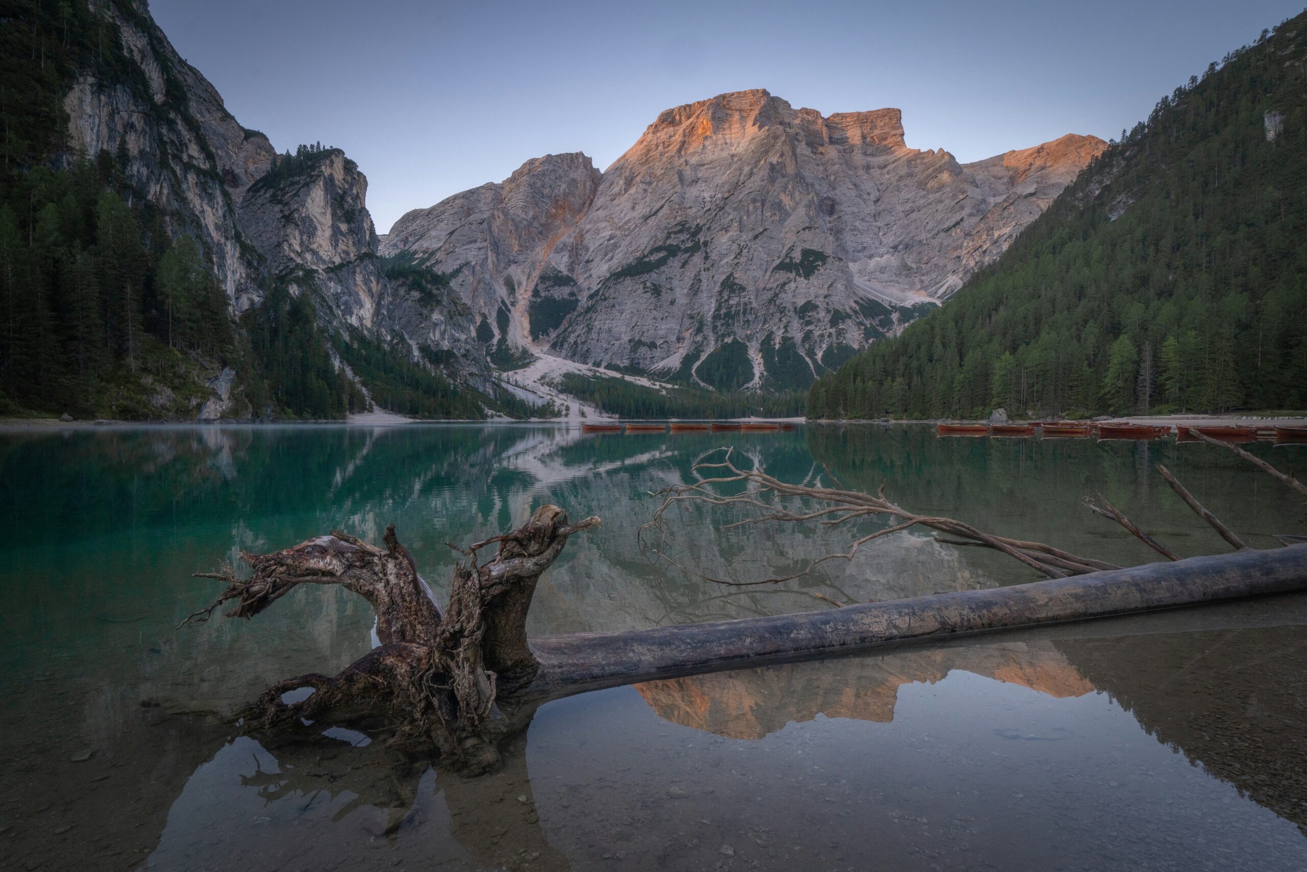 intricate explorer liecddr9nua unsplash